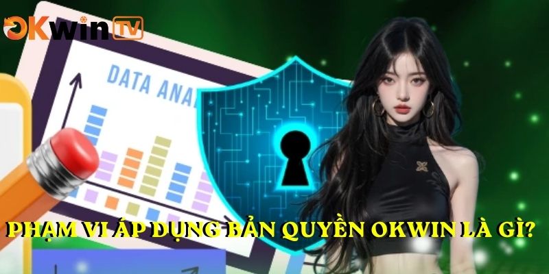 Phạm vi áp dụng BẢN QUYỀN OKWIN là gì?