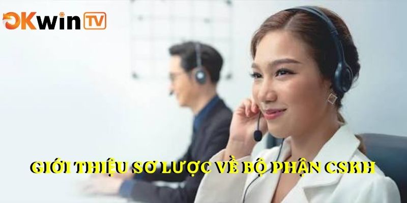 Giới thiệu sơ lược về bộ phận CSKH