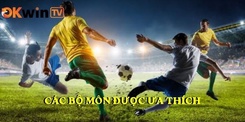Sảnh thể thao OKWINTV - các bộ môn được ưa thích
